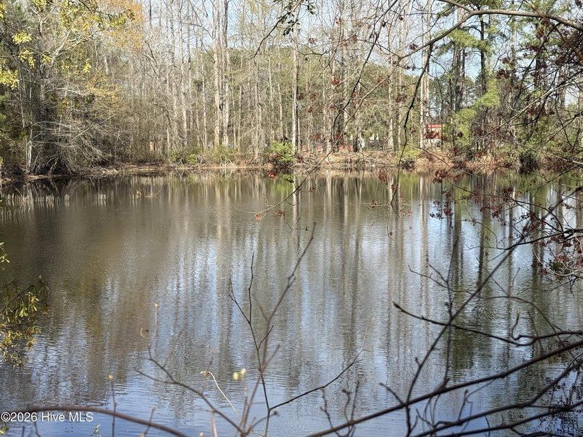 OWN YOUR OWN SLICE OF PARADISE!!!! 10.5 Acres with your own - photo 4