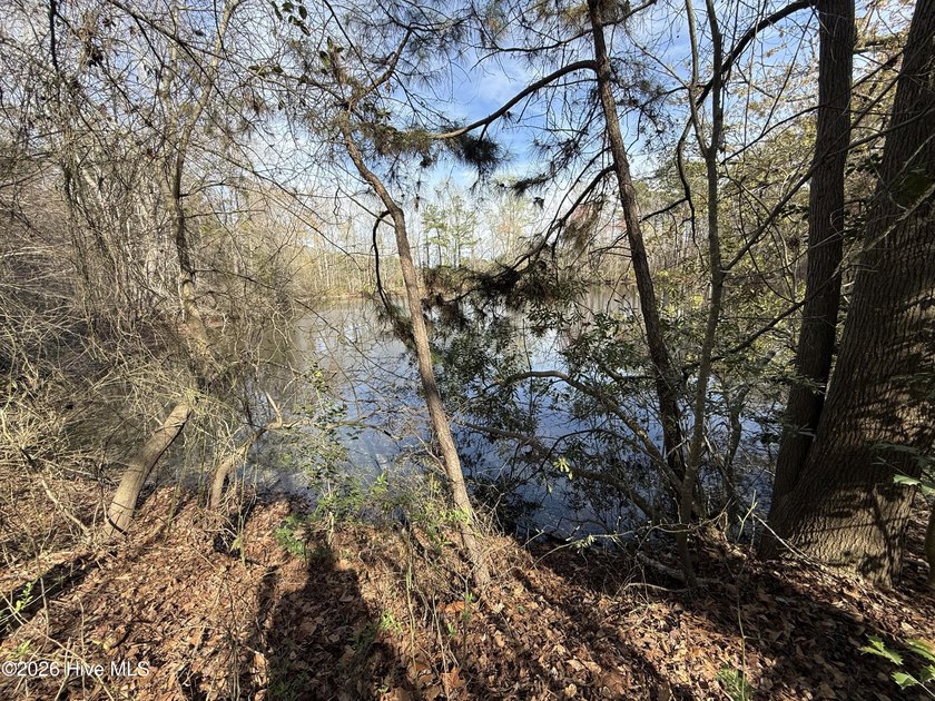 OWN YOUR OWN SLICE OF PARADISE!!!! 10.5 Acres with your own - photo 5