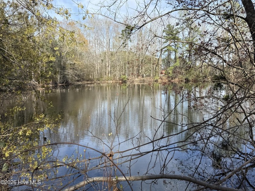OWN YOUR OWN SLICE OF PARADISE!!!! 10.5 Acres with your own - photo 6