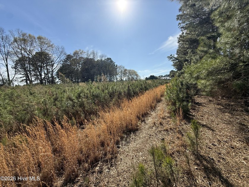 OWN YOUR OWN SLICE OF PARADISE!!!! 10.5 Acres with your own - photo 7