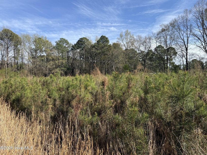 OWN YOUR OWN SLICE OF PARADISE!!!! 10.5 Acres with your own - photo 8