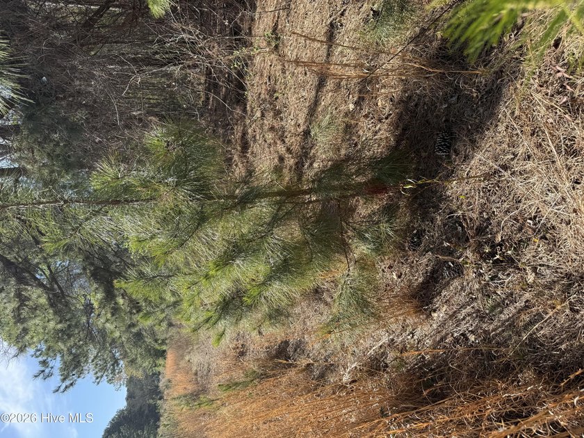 OWN YOUR OWN SLICE OF PARADISE!!!! 10.5 Acres with your own - photo 9
