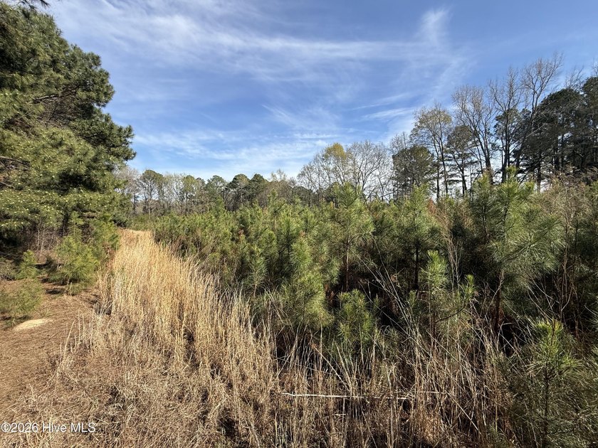 OWN YOUR OWN SLICE OF PARADISE!!!! 10.5 Acres with your own - photo 10
