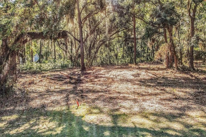 Tolomato Island on the Georgia Coast! Build your coastal retreat - photo 4