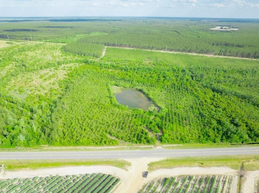 Discover the possibilities with this 58-acre tract of land - photo 3