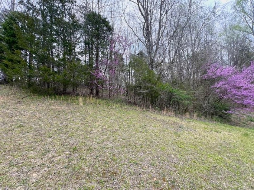 HUGE price reduction!! Prime Building Lot Near Barren River Lake - photo 12