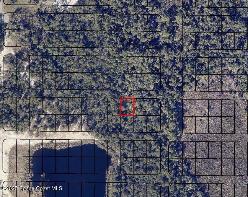 Five wooded lots in natural condition-3 contiguous + 2 - photo 4