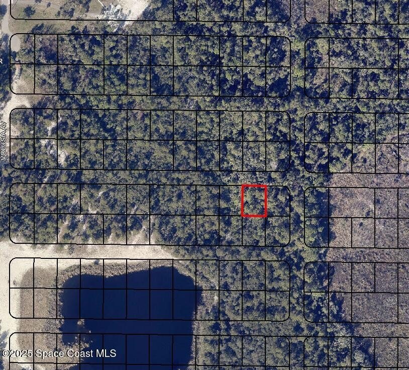 Five wooded lots in natural condition-3 contiguous + 2 - photo 5