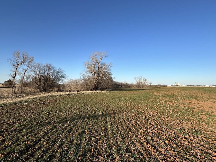 51+/- Acres | Pond Creek Area, Grant County, Oklahoma Productive - photo 5
