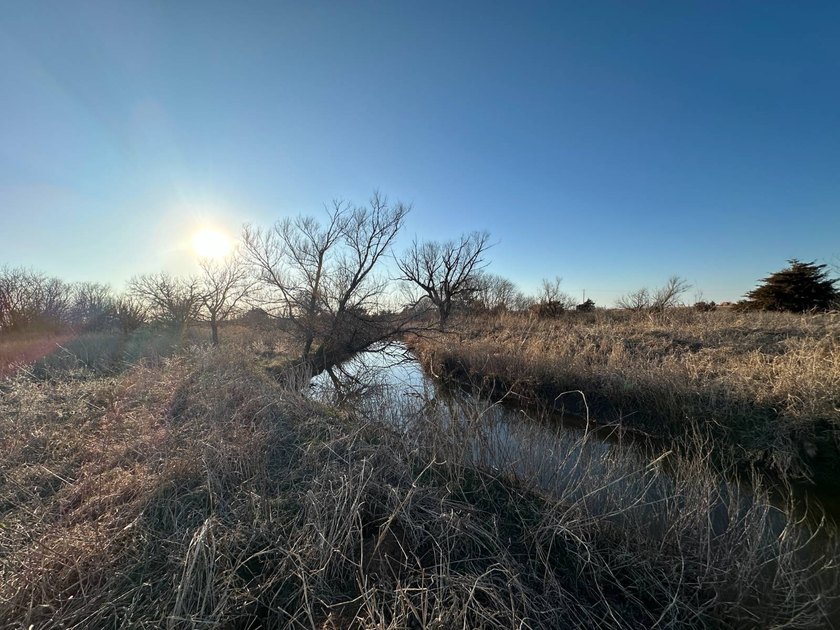 51+/- Acres | Pond Creek Area, Grant County, Oklahoma Productive - photo 6