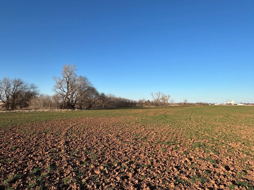51+/- Acres | Pond Creek Area, Grant County, Oklahoma Productive - photo 7