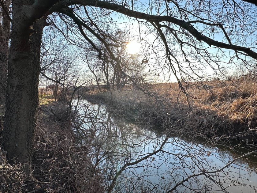 51+/- Acres | Pond Creek Area, Grant County, Oklahoma Productive - photo 9