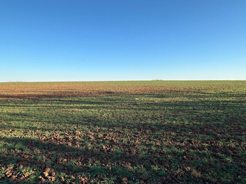 51+/- Acres | Pond Creek Area, Grant County, Oklahoma Productive - photo 10