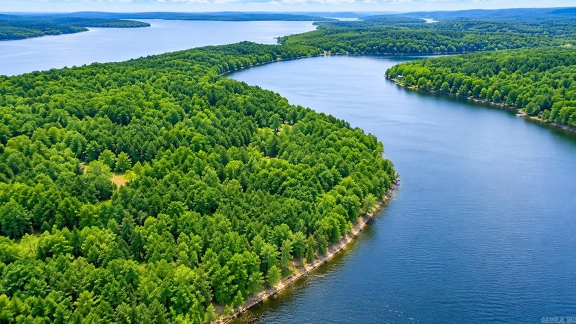 This lake front lot offers the perfect blend of nature - photo 12