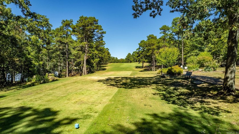 This lake front lot offers the perfect blend of nature - photo 22