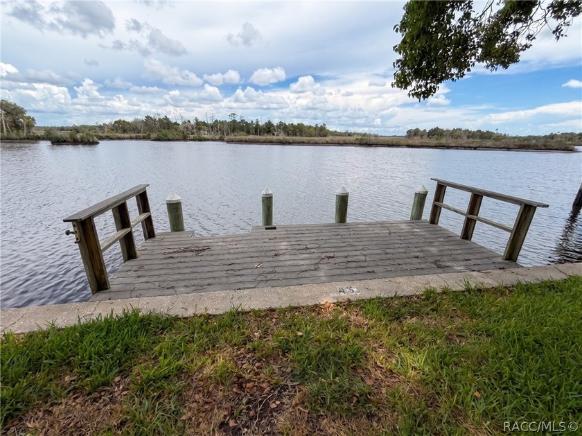 This lovely waterfront, remodeled, fully furnished, end unit - photo 35