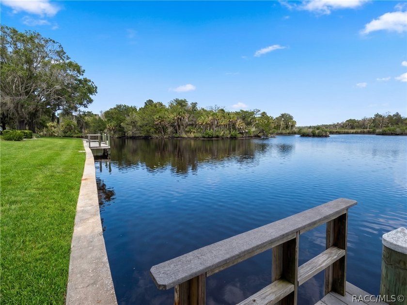 This lovely waterfront, remodeled, fully furnished, end unit - photo 37