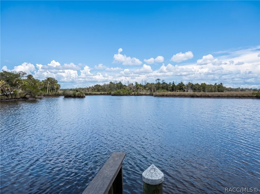 This lovely waterfront, remodeled, fully furnished, end unit - photo 38
