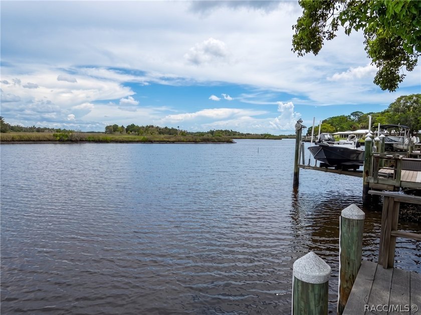 This lovely waterfront, remodeled, fully furnished, end unit - photo 39
