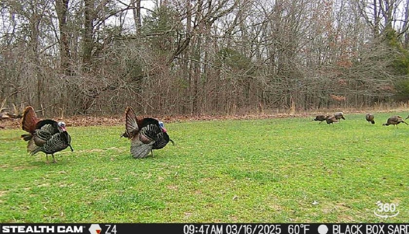 WELCOME TO A PREMIER HUNTING AND RECREATIONAL PROPERTY IN THE - photo 10