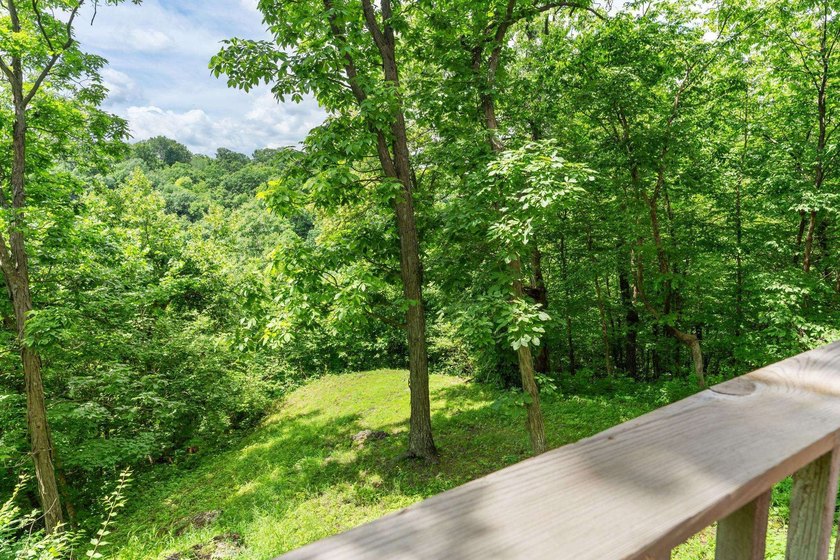 Showings began July 8th. Escape to your own private retreat - photo 24