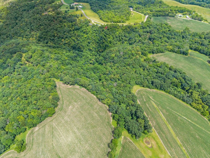 Showings began July 8th. Escape to your own private retreat - photo 36