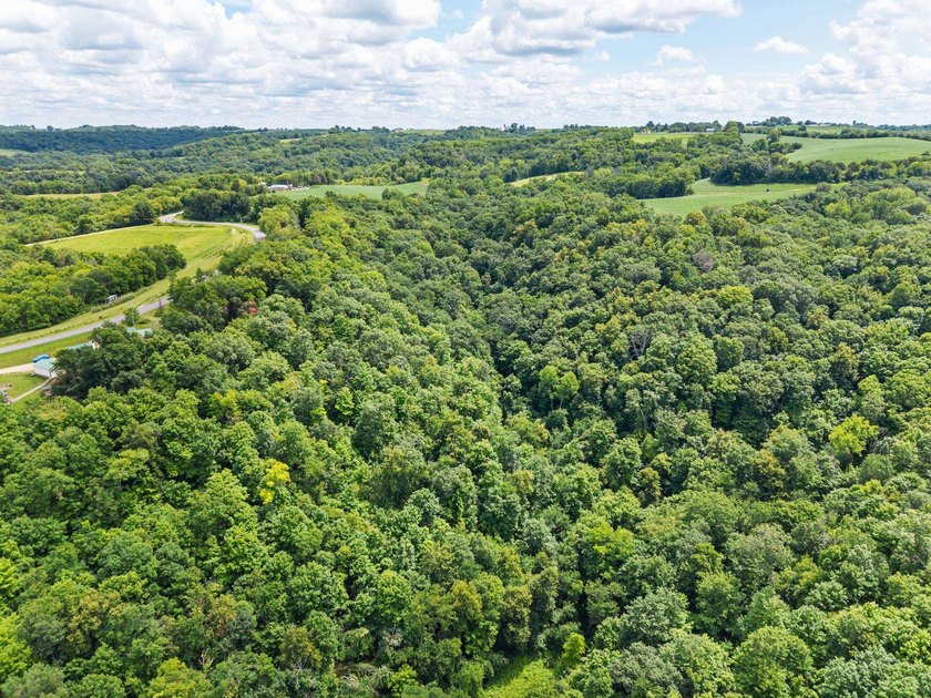Showings began July 8th. Escape to your own private retreat - photo 38