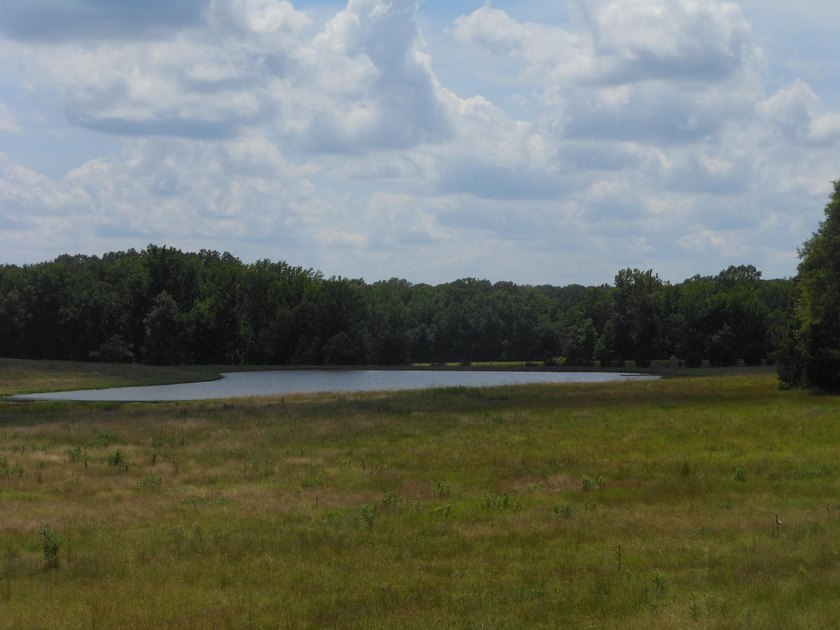 THIS IS THE SOUTH AND SOUTHWEST PORTION OF A 70 ACRE TRACT. IT - photo 3