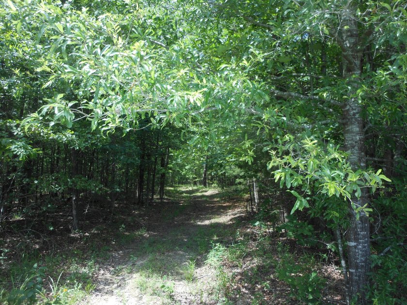 THIS IS THE SOUTH AND SOUTHWEST PORTION OF A 70 ACRE TRACT. IT - photo 7