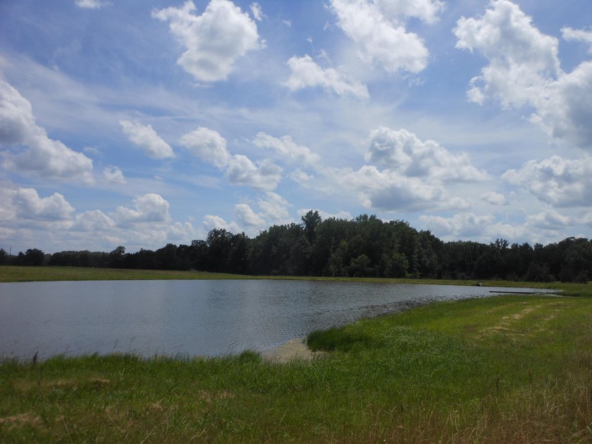 THIS IS THE SOUTH AND SOUTHWEST PORTION OF A 70 ACRE TRACT. IT - photo 8