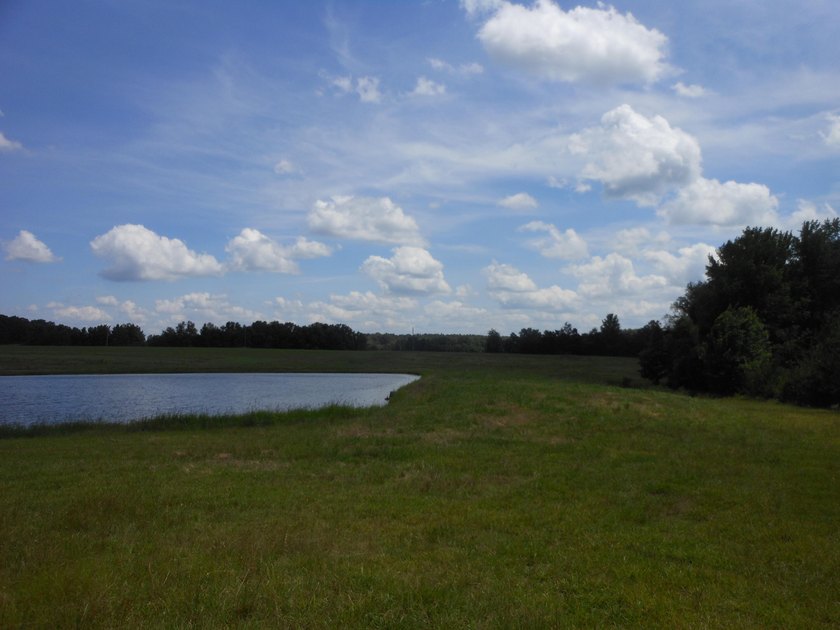 THIS IS THE SOUTH AND SOUTHWEST PORTION OF A 70 ACRE TRACT. IT - photo 9