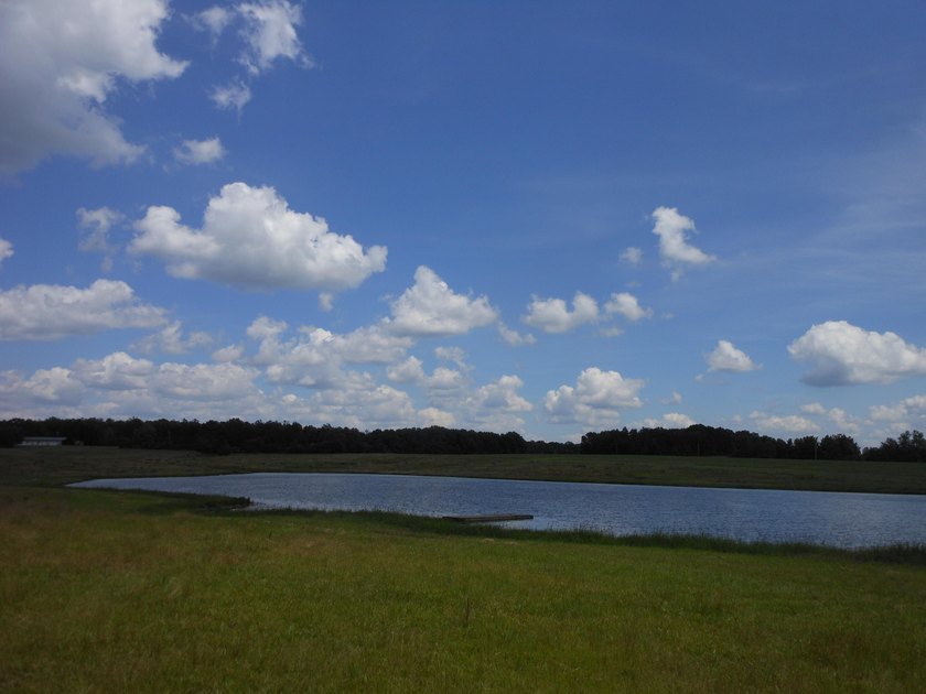THIS IS THE SOUTH AND SOUTHWEST PORTION OF A 70 ACRE TRACT. IT - photo 10