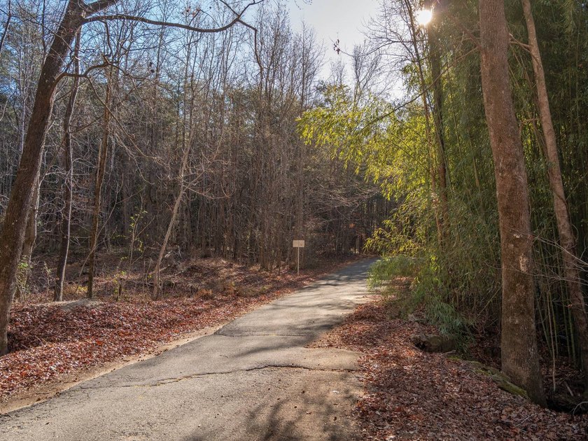 Nineteen acres in Landrum, South Carolina, set just off Highway - photo 19