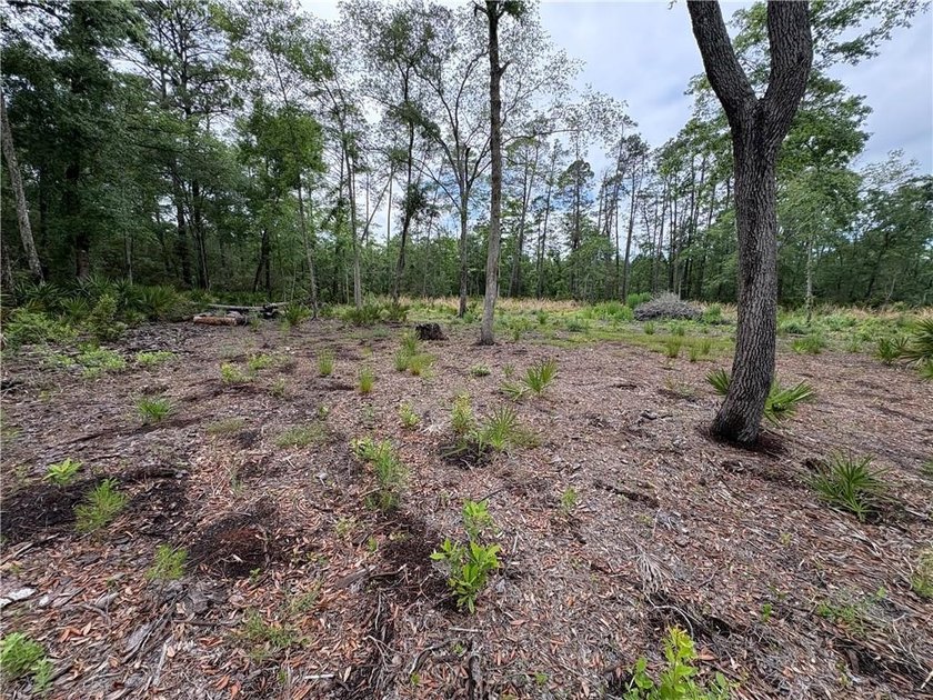Beautifully cleared residential lot offering breathtakingly - photo 8