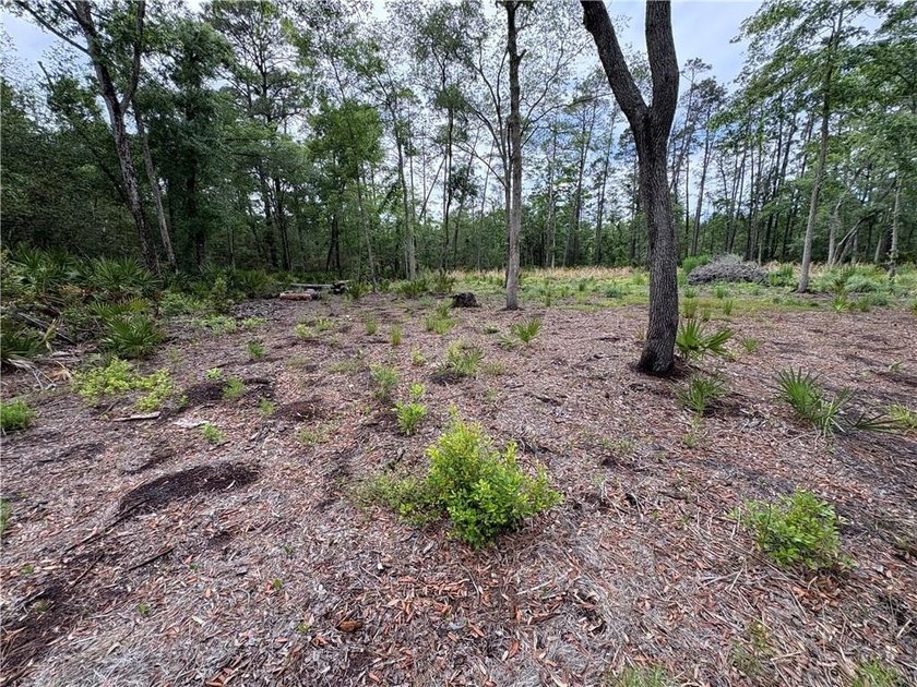Beautifully cleared residential lot offering breathtakingly - photo 9