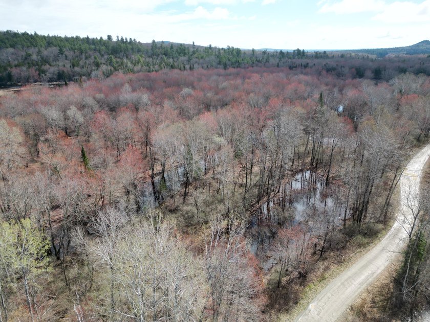 Spacious 22-acre parcel located on Merriman Road in the quiet - photo 2