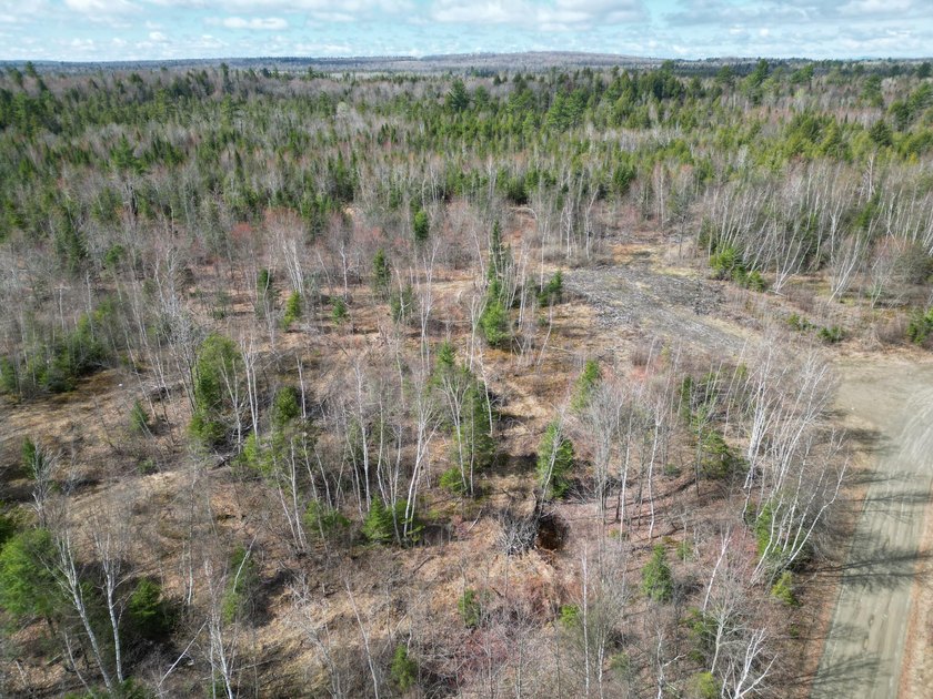 Spacious 22-acre parcel located on Merriman Road in the quiet - photo 8