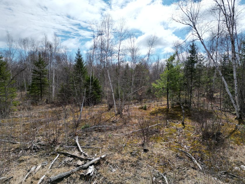 Spacious 22-acre parcel located on Merriman Road in the quiet - photo 10