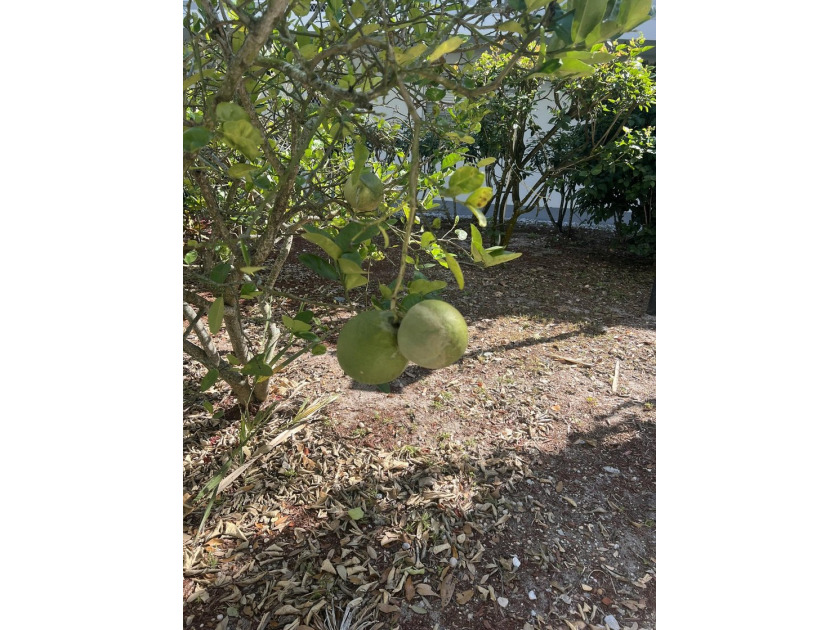 Welcome to easy Florida living in this bright, very clean - photo 2