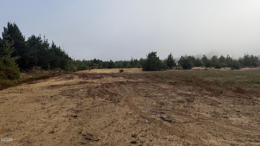 Affordable, generously sized lot zoned I-P Planned Industrial - photo 2