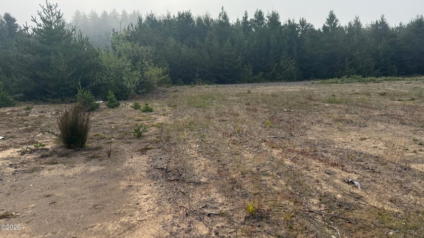 Affordable, generously sized lot zoned I-P Planned Industrial - photo 2