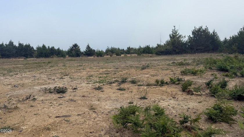 Affordable, generously sized lot zoned I-P Planned Industrial - photo 4