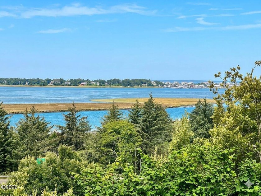 Gorgeous Bayviews await! 3 Bedroom 2 bath home convenient South - photo 3