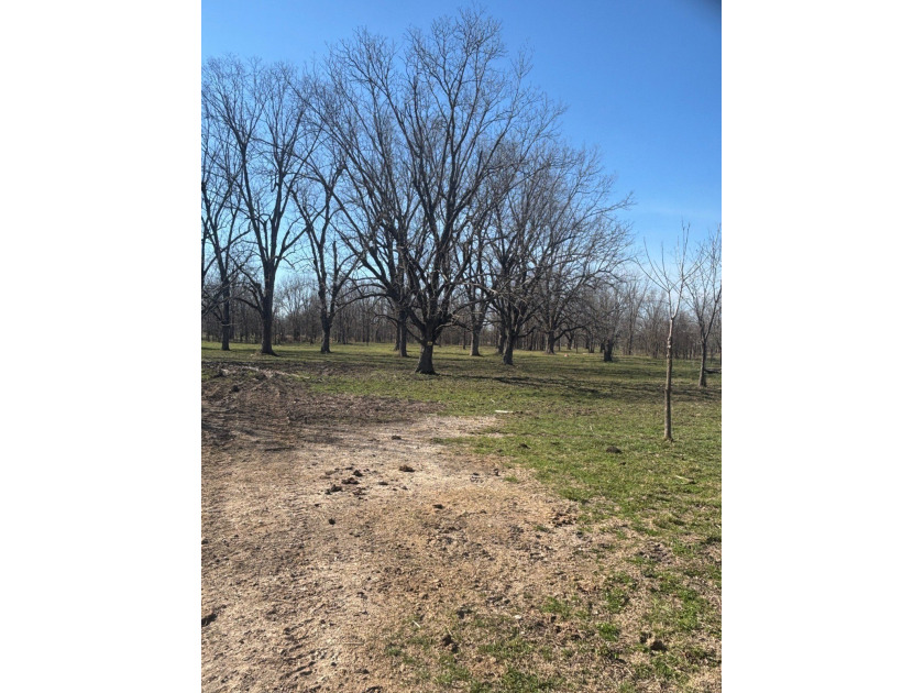 Prime Southeast Oklahoma hunting and recreational property - photo 2