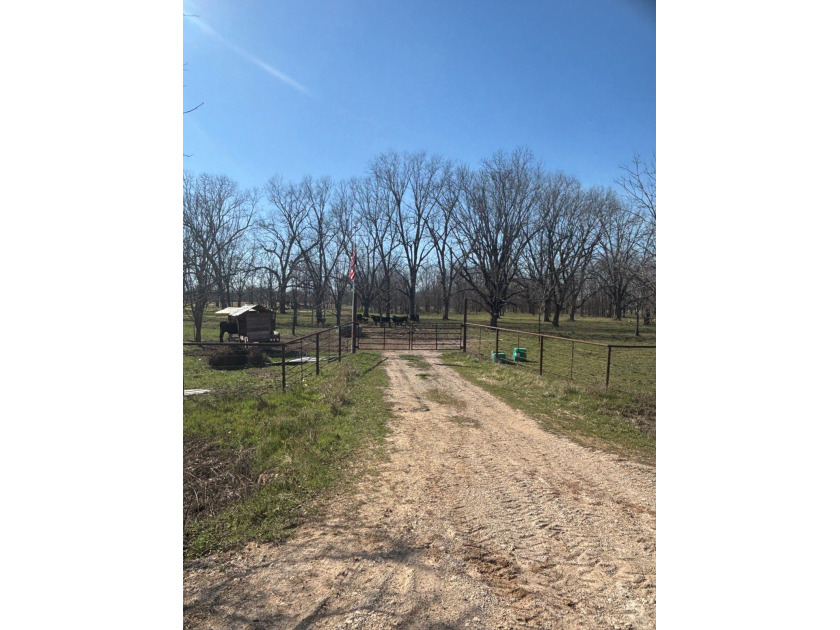 Prime Southeast Oklahoma hunting and recreational property - photo 3