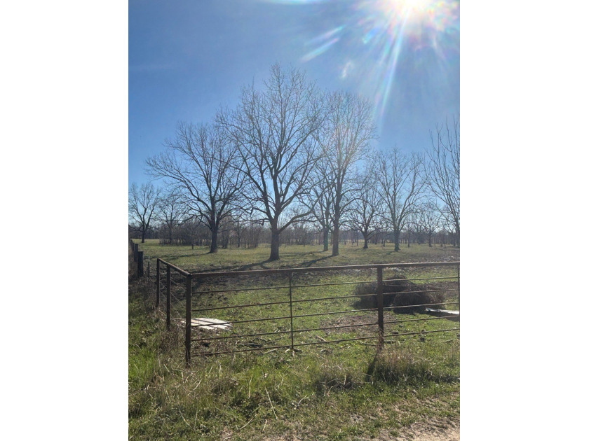 Prime Southeast Oklahoma hunting and recreational property - photo 5
