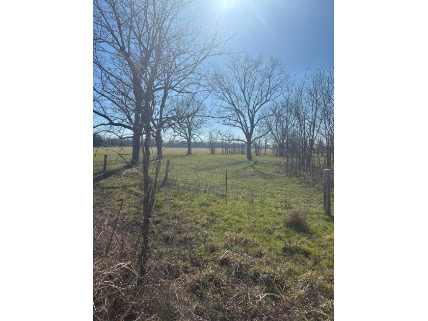 Prime Southeast Oklahoma hunting and recreational property - photo 7