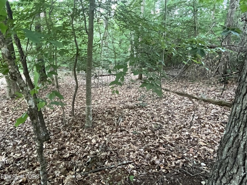 Escape to East Tennessee: Stunning Mountain-View Lot Ready for - photo 11