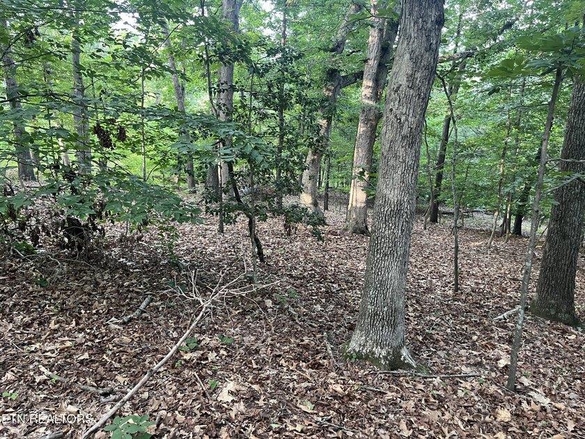Escape to East Tennessee: Stunning Mountain-View Lot Ready for - photo 14