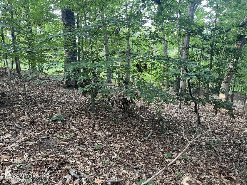 Escape to East Tennessee: Stunning Mountain-View Lot Ready for - photo 15